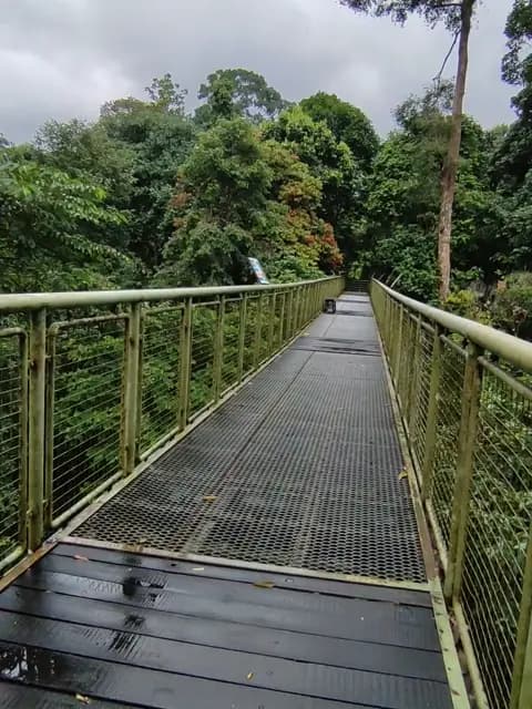 Sandakan Recreational Rainforest